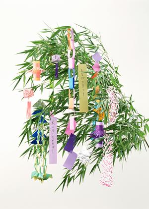 捻挫におけるスポーツサポーターの使用