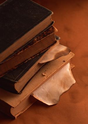 合成紙で汚れに強いプライスレールPOP